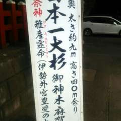 投稿日:2018年4月17日 写真