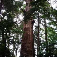 投稿日:2017年9月23日 写真