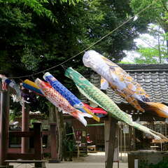 写真