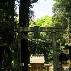 写真