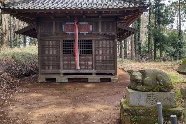 写真