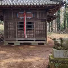 写真