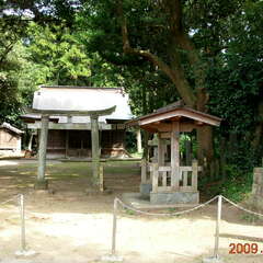 水神社(投稿日:2025年8月8日) 写真
