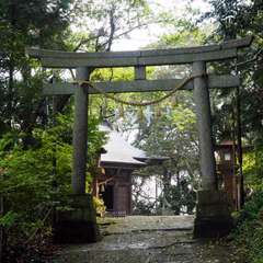 投稿日:2016年4月22日 写真