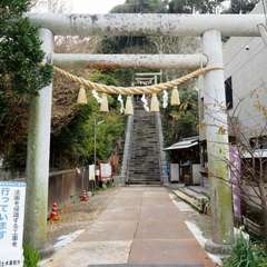 投稿日:2016年3月8日 写真