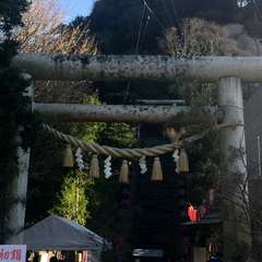 投稿日:2017年1月4日 写真