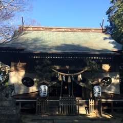 投稿日:2017年1月4日 写真