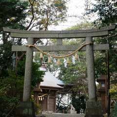 投稿日:2016年3月8日 写真