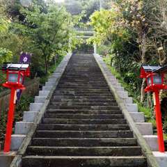 投稿日:2016年4月22日 写真