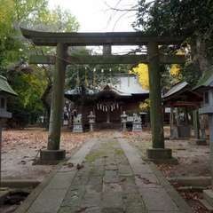 写真