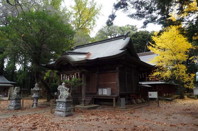 写真