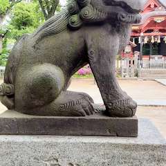 投稿日:2022年4月29日 写真