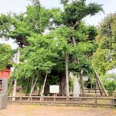 投稿日:2022年4月29日 写真