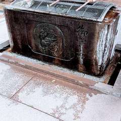 投稿日:2022年4月29日 写真