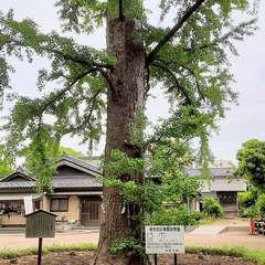 投稿日:2022年4月29日 写真