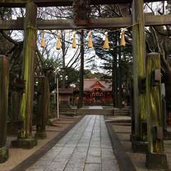 投稿日:2016年3月6日 写真