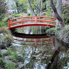 投稿日:2022年4月29日 写真