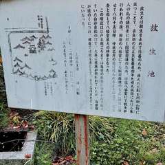 投稿日:2022年4月29日 写真