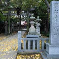 投稿日:2016年3月6日 写真