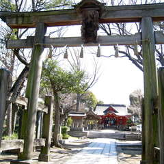 投稿日:2024年3月14日 写真