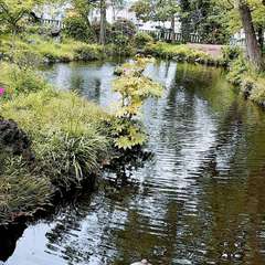投稿日:2022年4月29日 写真