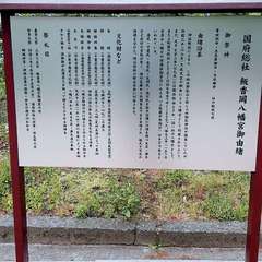 投稿日:2022年4月29日 写真