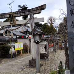 鶴峯八幡宮(投稿日:2025年12月13日) 写真