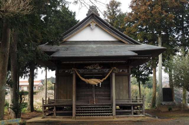 写真