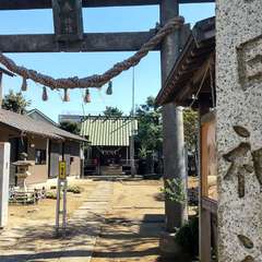 四街道駅近く 道路沿い(投稿日:2022年10月2日) 写真