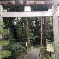 こちらも、祭礼ののぼり(投稿日:2022年10月16日) 写真