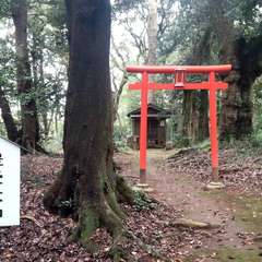 ひっそりと、里山に(投稿日:2022年10月16日) 写真