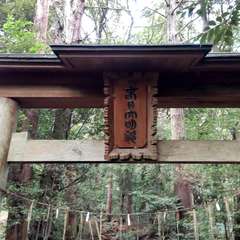 途中で、四国単身赴任中にお世話になった方に、偶然遭遇 歩き巡りのハプニング(投稿日:2022年10月16日) 写真