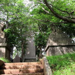 福王神社(投稿日:2024年6月24日) 写真