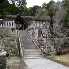 投稿日:2024年3月6日 写真