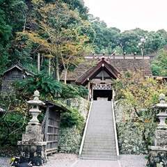 投稿日:2025年10月15日 写真