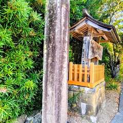 投稿日:2025年10月15日 写真