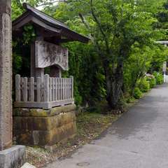 投稿日:2016年6月30日 写真