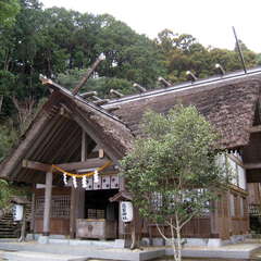 投稿日:2024年3月6日 写真