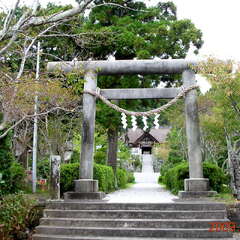 投稿日:2025年8月8日 写真