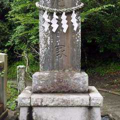 投稿日:2016年6月30日 写真