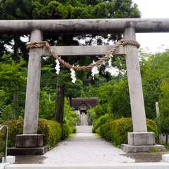 投稿日:2016年6月30日 写真