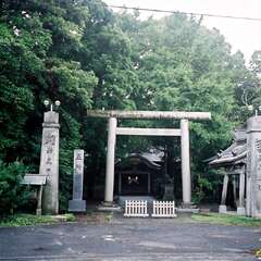 五所神社(投稿日:2025年10月16日) 写真