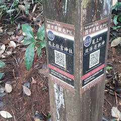 里山の中にひっそりと 急な石段(投稿日:2022年7月18日) 写真