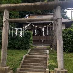 神社裏のご神木は神秘的(投稿日:2022年7月18日) 写真