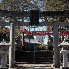 投稿日:2016年3月20日 写真