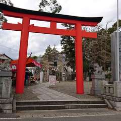 投稿日:2022年6月14日 写真