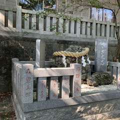 投稿日:2020年11月7日 写真