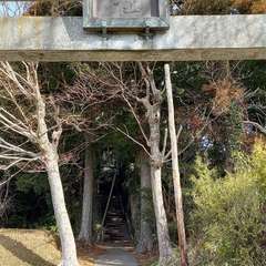 八幡神社(投稿日:2023年2月15日) 写真