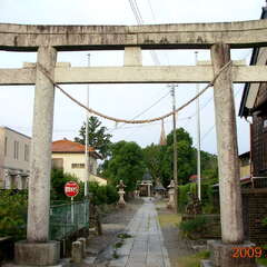 夷隅神社(投稿日:2025年8月8日) 写真