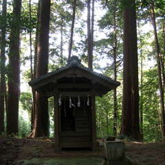 田間神社 元宮(投稿日:2024年11月10日) 写真